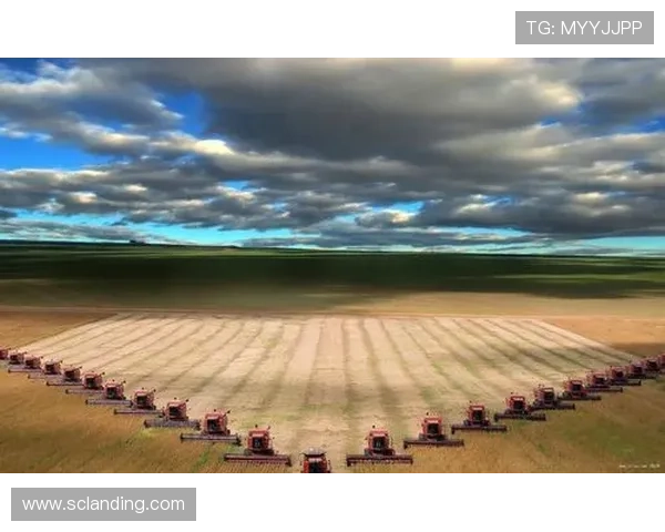 纯情年代：追寻心中的初恋与青春的岁月记忆